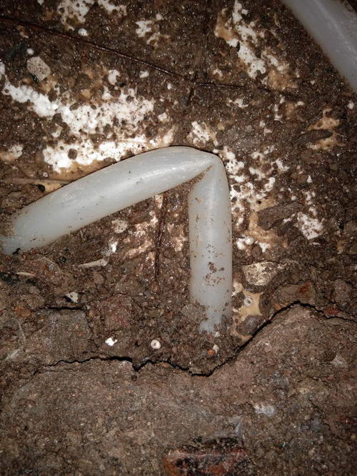 寿宁堵点精准查找